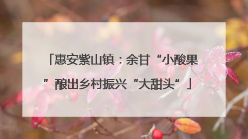 惠安紫山镇：余甘“小酸果”酿出乡村振兴“大甜头”