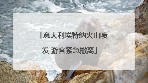 意大利埃特纳火山喷发 游客紧急撤离