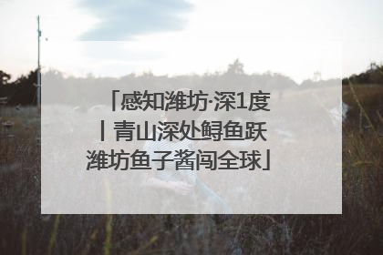 感知潍坊·深1度丨青山深处鲟鱼跃 潍坊鱼子酱闯全球