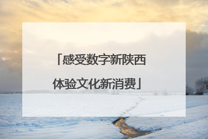 感受数字新陕西 体验文化新消费