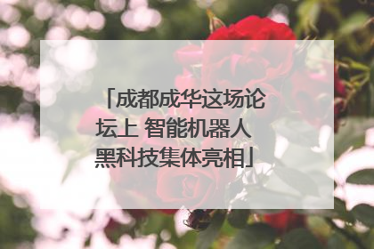 成都成华这场论坛上 智能机器人黑科技集体亮相