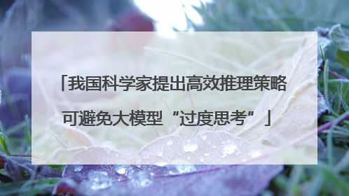 我国科学家提出高效推理策略 可避免大模型“过度思考”
