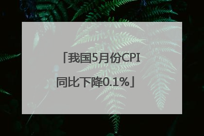 我国5月份CPI同比下降0.1%