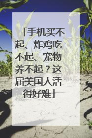 手机买不起、炸鸡吃不起、宠物养不起？这届美国人活得好难