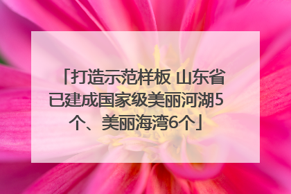 打造示范样板 山东省已建成国家级美丽河湖5个、美丽海湾6个