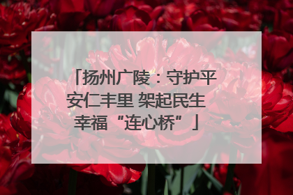 扬州广陵：守护平安仁丰里 架起民生幸福“连心桥”