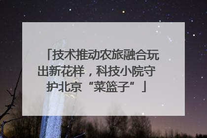 技术推动农旅融合玩出新花样，科技小院守护北京“菜篮子”