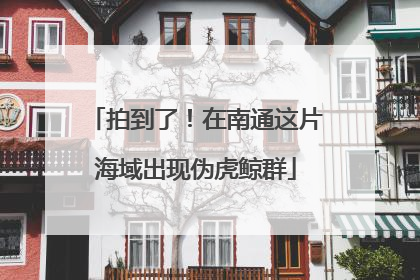 拍到了！在南通这片海域出现伪虎鲸群