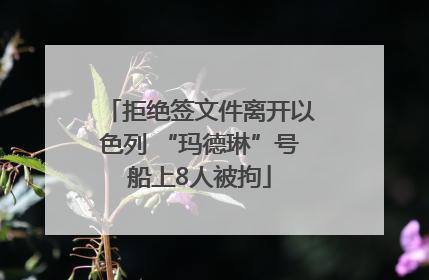 拒绝签文件离开以色列 “玛德琳”号船上8人被拘