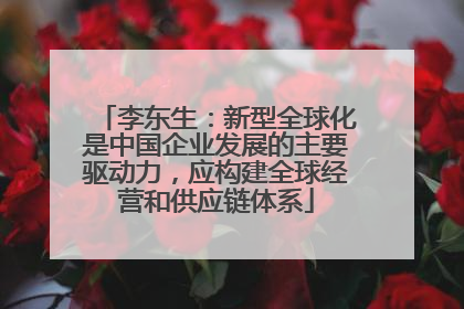 李东生：新型全球化是中国企业发展的主要驱动力，应构建全球经营和供应链体系