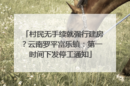 村民无手续就强行建房？云南罗平富乐镇：第一时间下发停工通知