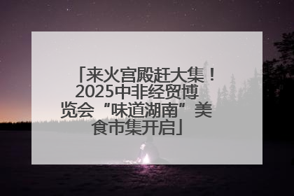 来火宫殿赶大集！2025中非经贸博览会“味道湖南”美食市集开启