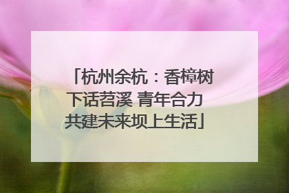 杭州余杭：香樟树下话苕溪 青年合力共建未来坝上生活