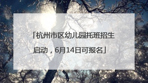 杭州市区幼儿园托班招生启动，6月14日可报名