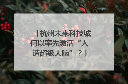 杭州未来科技城何以率先激活“人造超级大脑”？