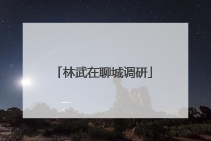 林武在聊城调研