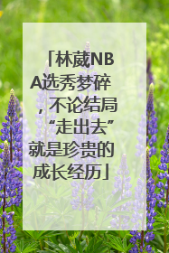 林葳NBA选秀梦碎，不论结局“走出去”就是珍贵的成长经历