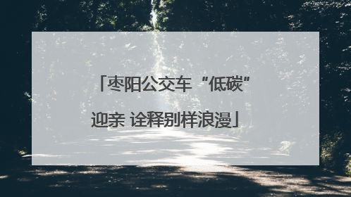 枣阳公交车“低碳”迎亲 诠释别样浪漫