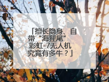 擅长隐身、自带“海狸尾” 彩虹-7无人机究竟有多牛？