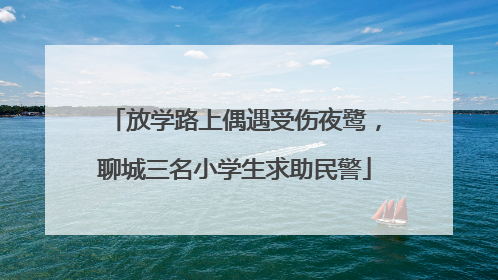 放学路上偶遇受伤夜鹭，聊城三名小学生求助民警