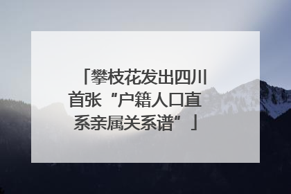 攀枝花发出四川首张“户籍人口直系亲属关系谱”