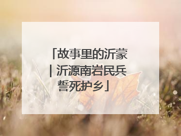 故事里的沂蒙｜沂源南岩民兵誓死护乡