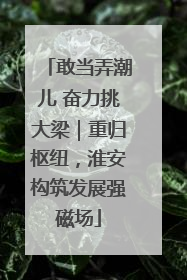 敢当弄潮儿 奋力挑大梁｜重归枢纽，淮安构筑发展强磁场