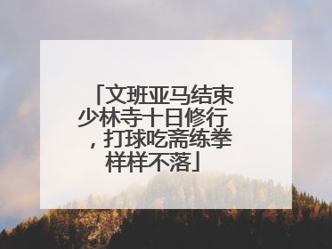 文班亚马结束少林寺十日修行，打球吃斋练拳样样不落