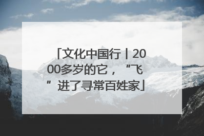 文化中国行丨2000多岁的它，“飞”进了寻常百姓家