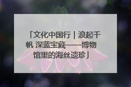 文化中国行｜浪起千帆 深蓝宝藏——博物馆里的海丝遗珍