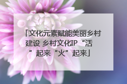 文化元素赋能美丽乡村建设 乡村文化IP“活”起来“火”起来