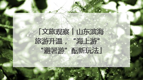 文旅观察丨山东滨海旅游升温，“海上游”“避暑游”酝新玩法