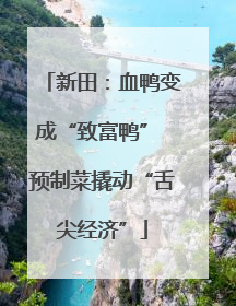 新田：血鸭变成“致富鸭” 预制菜撬动“舌尖经济”