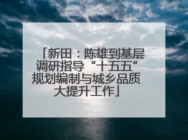 新田：陈雄到基层调研指导“十五五”规划编制与城乡品质大提升工作