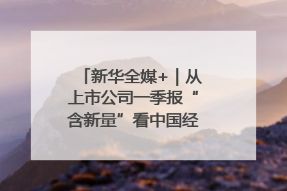 新华全媒+｜从上市公司一季报“含新量”看中国经济发展向“新”