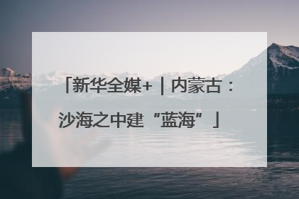 新华全媒+｜内蒙古：沙海之中建“蓝海”