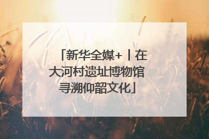 新华全媒+丨在大河村遗址博物馆寻溯仰韶文化