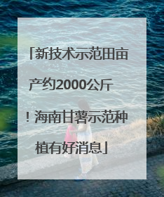 新技术示范田亩产约2000公斤！海南甘薯示范种植有好消息