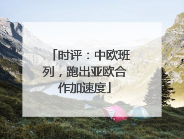 时评：中欧班列，跑出亚欧合作加速度