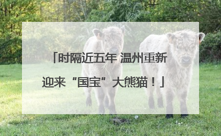 时隔近五年 温州重新迎来“国宝”大熊猫！