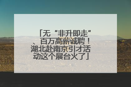 无“非升即走”、百万高薪诚聘！湖北赴南京引才活动这个展台火了