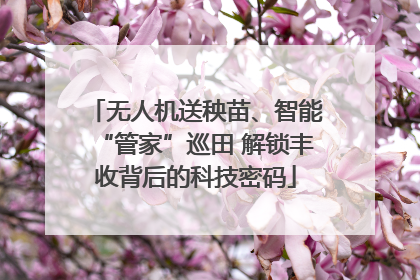 无人机送秧苗、智能“管家”巡田 解锁丰收背后的科技密码