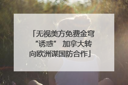 无视美方免费金穹“诱惑” 加拿大转向欧洲谋国防合作