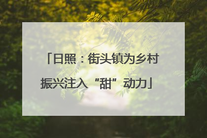 日照：街头镇为乡村振兴注入“甜”动力
