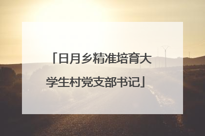 日月乡精准培育大学生村党支部书记