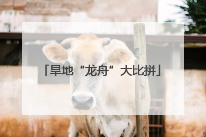 旱地“龙舟”大比拼