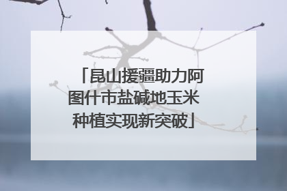 昆山援疆助力阿图什市盐碱地玉米种植实现新突破