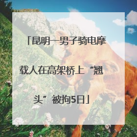 昆明一男子骑电摩载人在高架桥上“翘头”被拘5日
