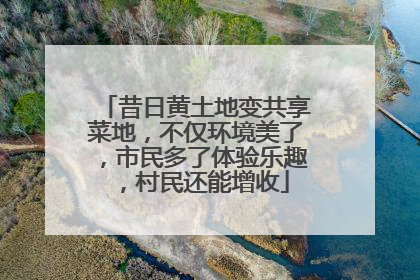 昔日黄土地变共享菜地，不仅环境美了，市民多了体验乐趣，村民还能增收