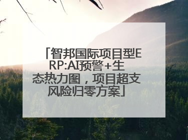 智邦国际项目型ERP:AI预警+生态热力图，项目超支风险归零方案